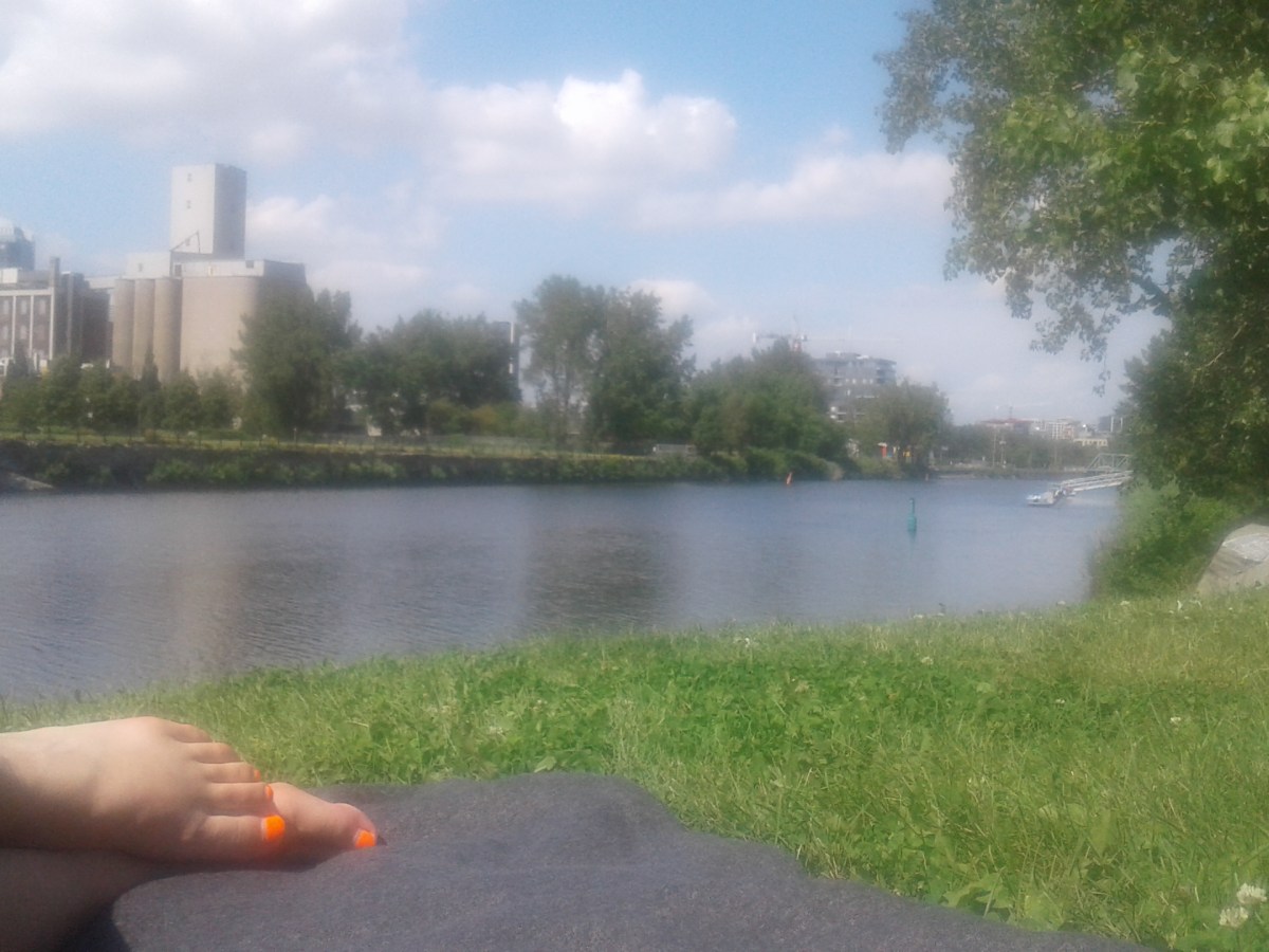 Été 2017 ou l’évolution d’une&nbsp;crevette