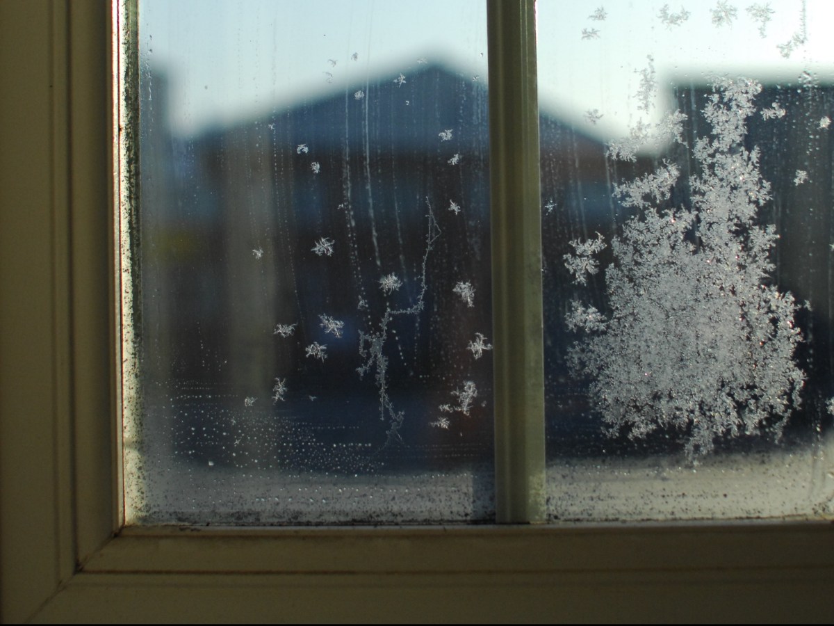 Le silence de&nbsp;l’hiver